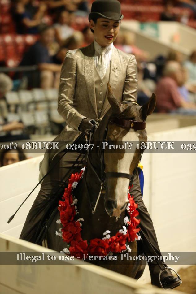 Proof 18BUCK_03997