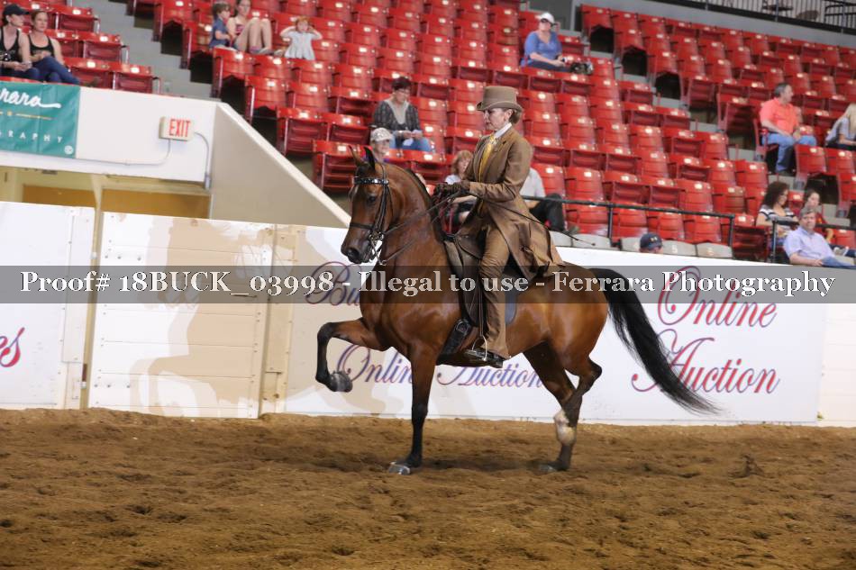 Proof 18BUCK_03998