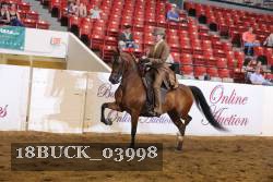 18BUCK_03998 proof