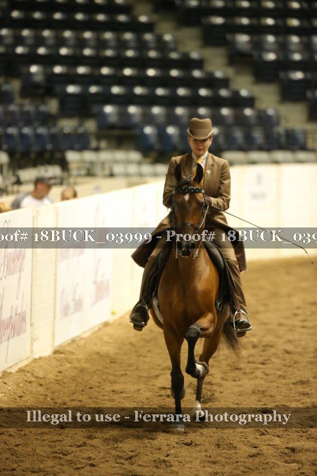 Proof 18BUCK_03999