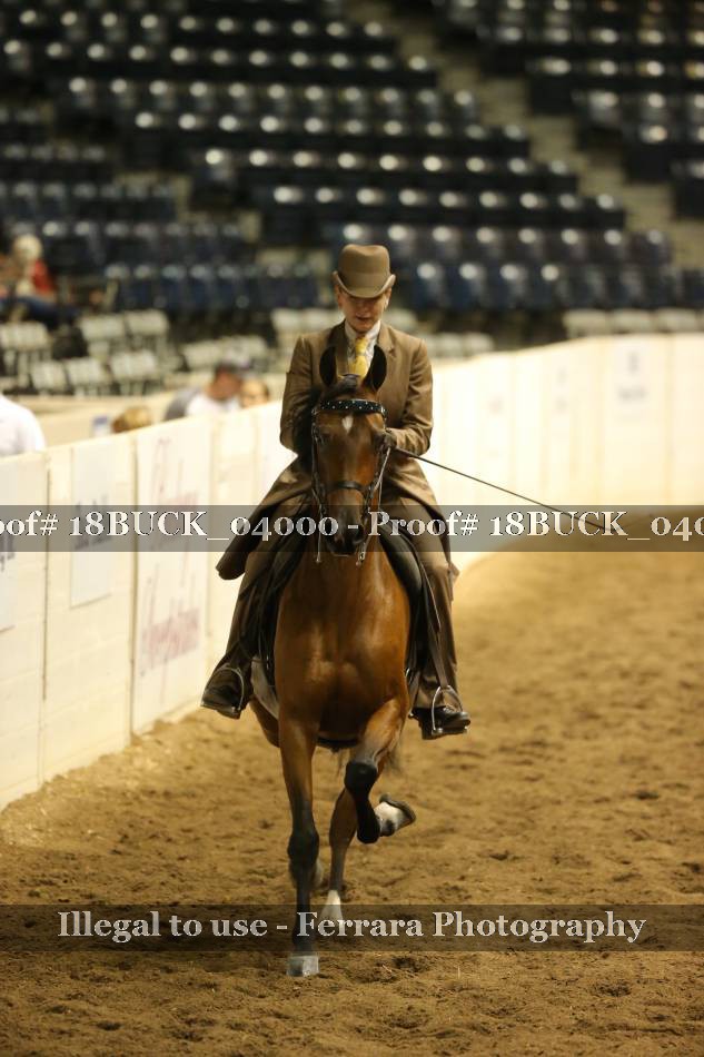 Proof 18BUCK_04000