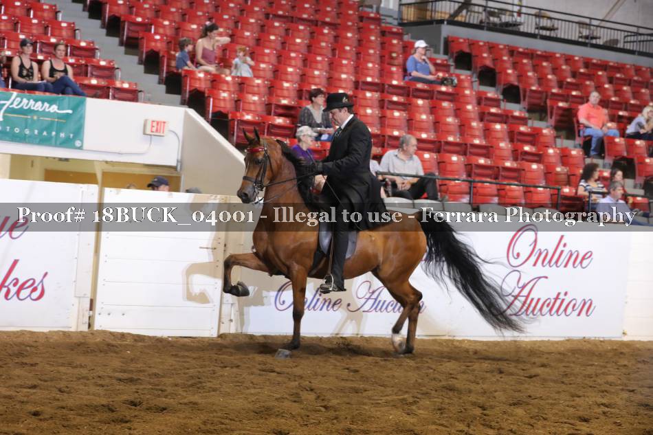 Proof 18BUCK_04001