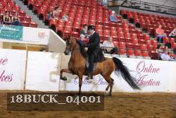 18BUCK_04001 proof