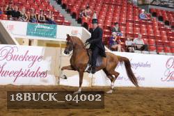 18BUCK_04002 proof