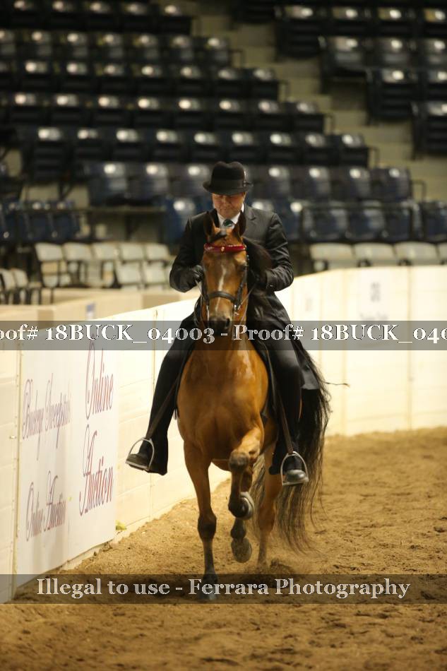 Proof 18BUCK_04003