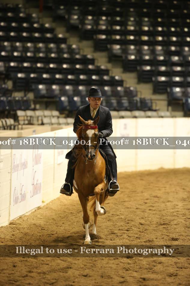 Proof 18BUCK_04004