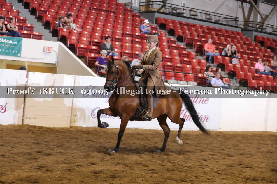 Proof 18BUCK_04005