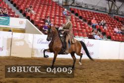 18BUCK_04005 proof