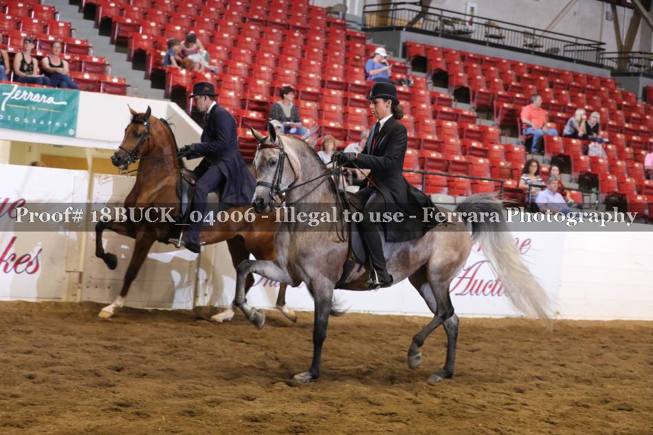 Proof 18BUCK_04006
