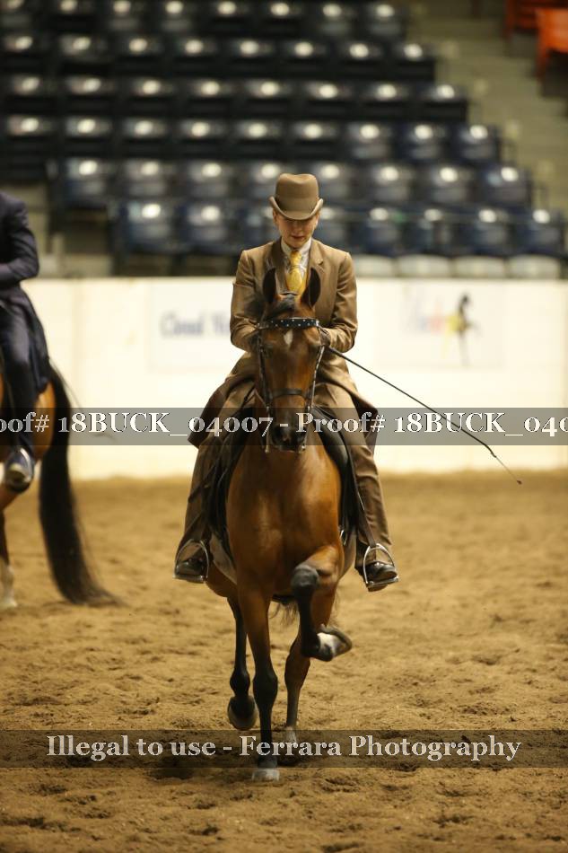 Proof 18BUCK_04007