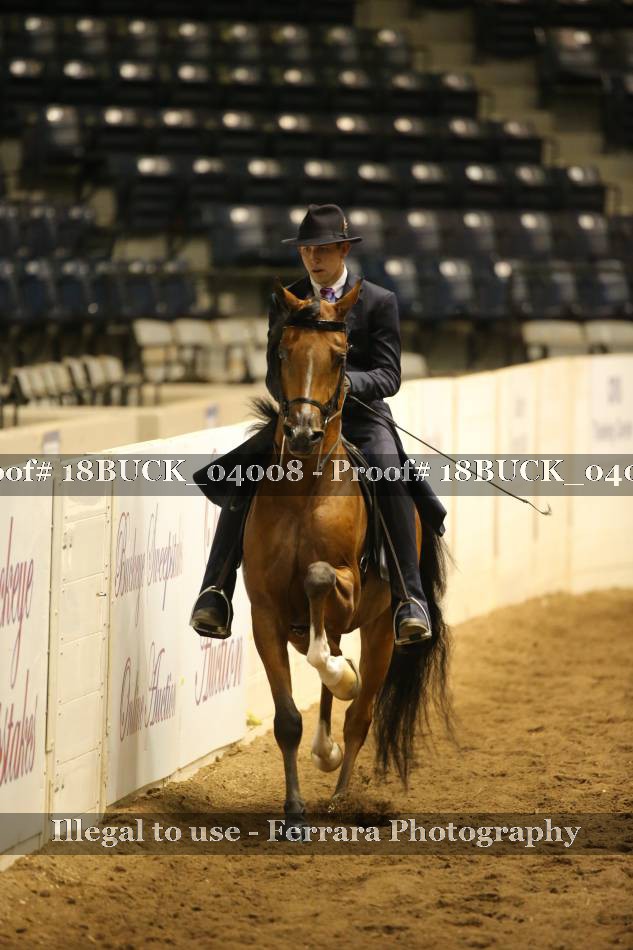 Proof 18BUCK_04008