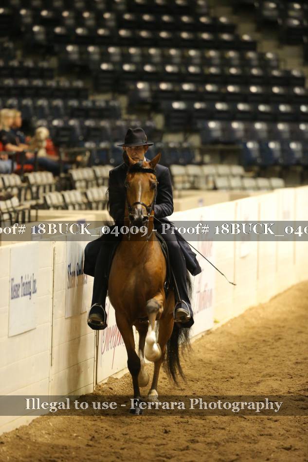 Proof 18BUCK_04009