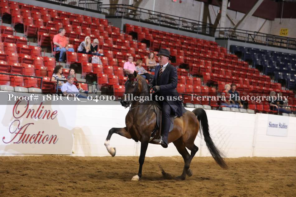 Proof 18BUCK_04010