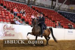 18BUCK_04010 proof