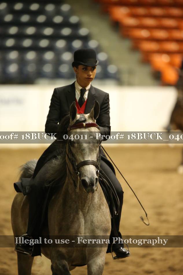 Proof 18BUCK_04011