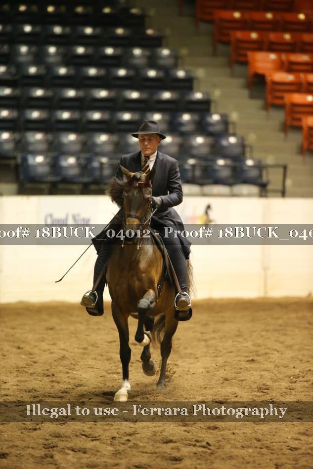 Proof 18BUCK_04012