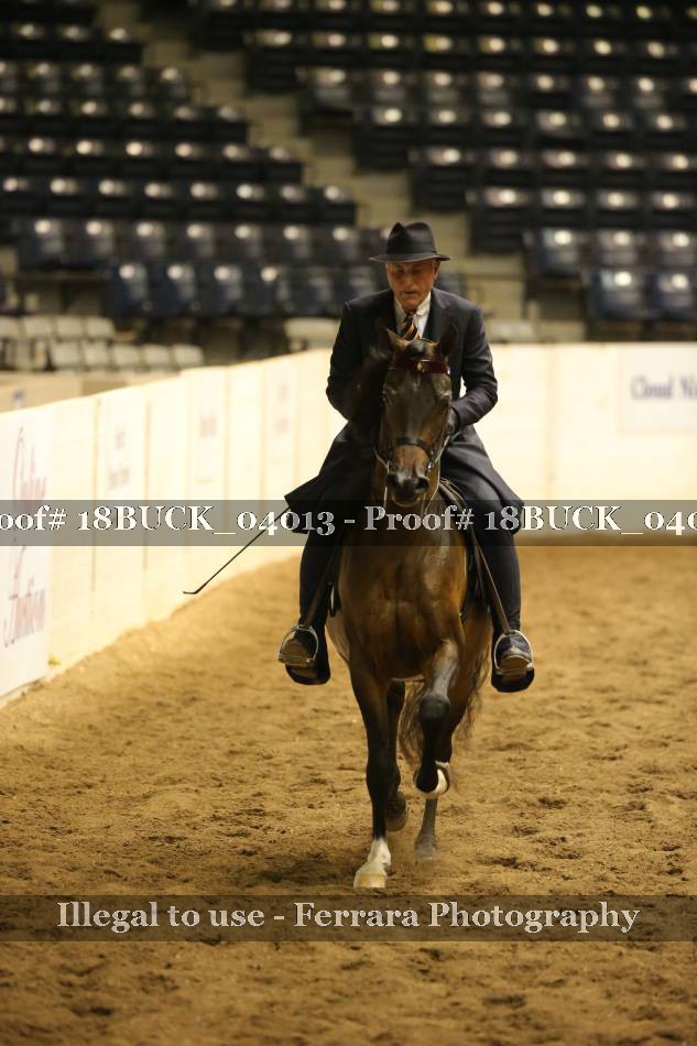 Proof 18BUCK_04013