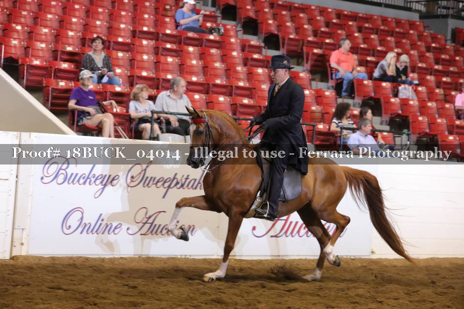 Proof 18BUCK_04014