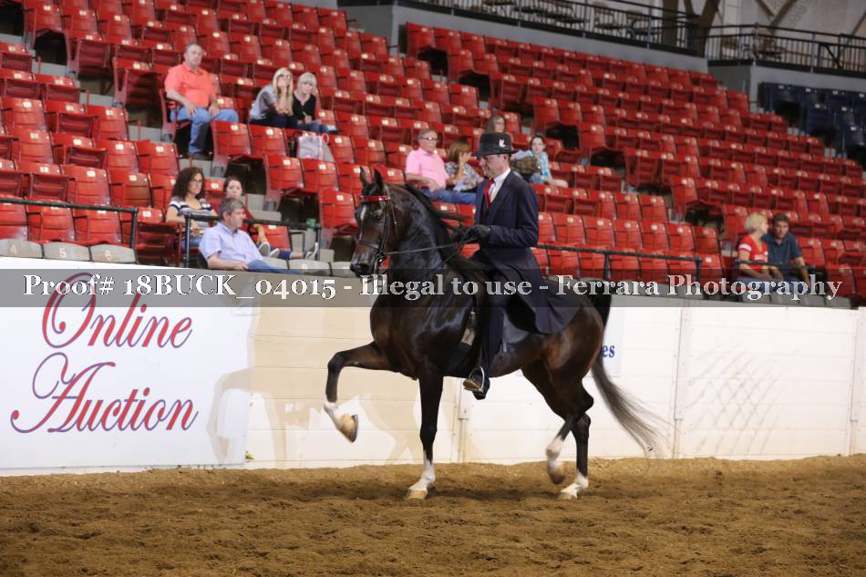 Proof 18BUCK_04015
