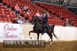 18BUCK_04015 proof