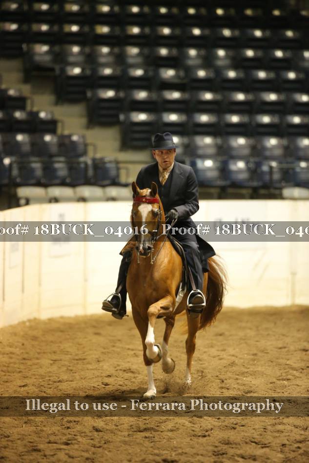 Proof 18BUCK_04016