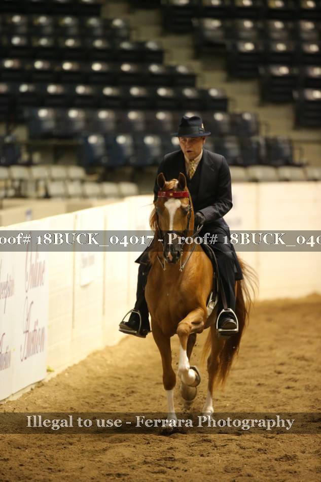Proof 18BUCK_04017