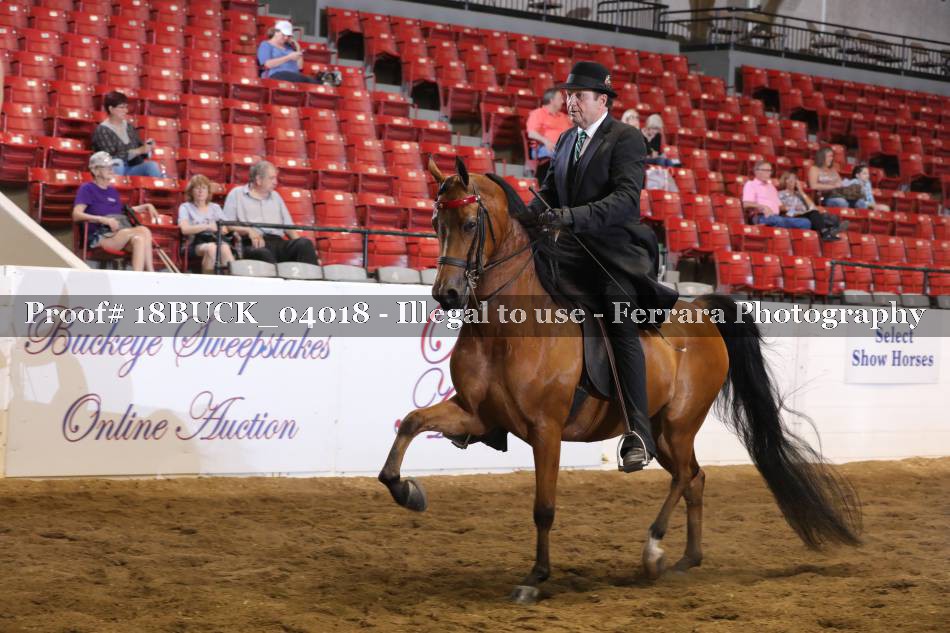 Proof 18BUCK_04018
