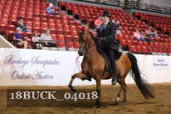 18BUCK_04018 proof