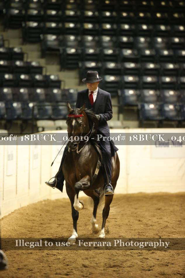 Proof 18BUCK_04019