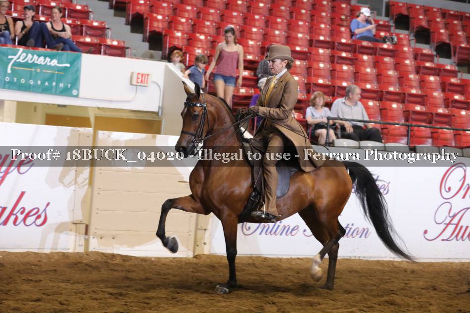 Proof 18BUCK_04020