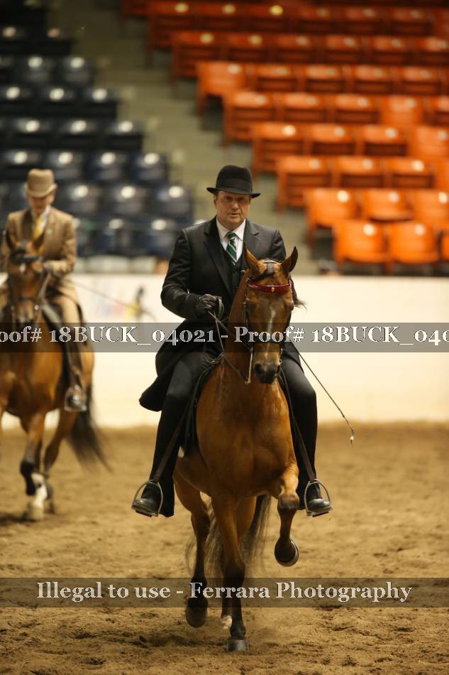 Proof 18BUCK_04021