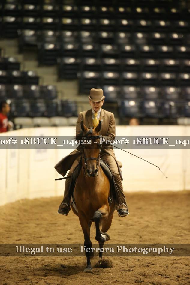 Proof 18BUCK_04022