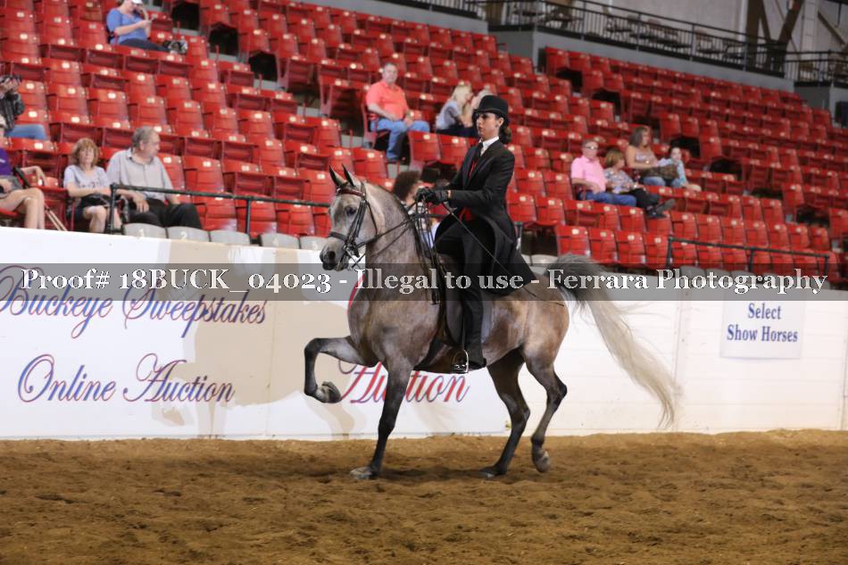 Proof 18BUCK_04023