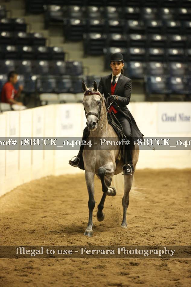 Proof 18BUCK_04024