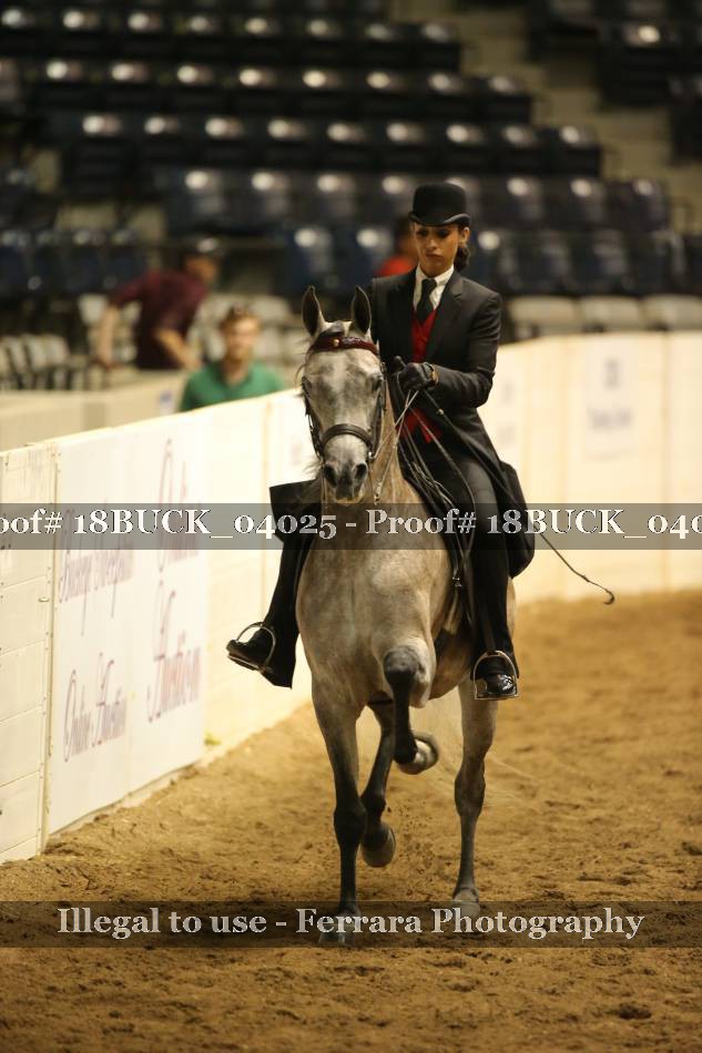 Proof 18BUCK_04025