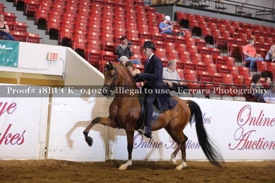 Proof 18BUCK_04026
