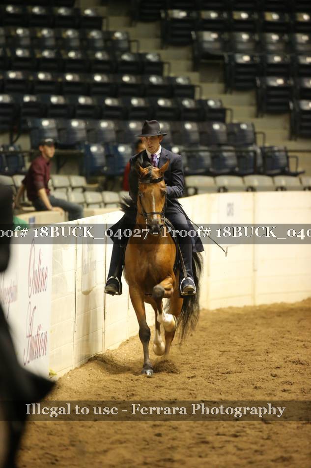 Proof 18BUCK_04027