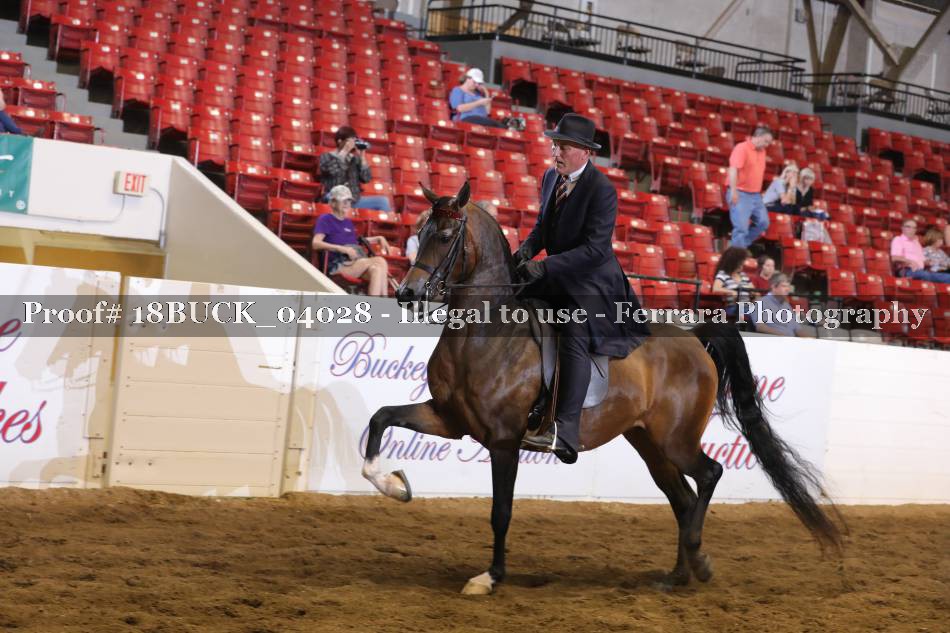 Proof 18BUCK_04028