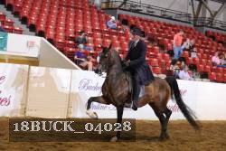 18BUCK_04028 proof