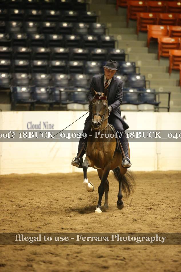 Proof 18BUCK_04029