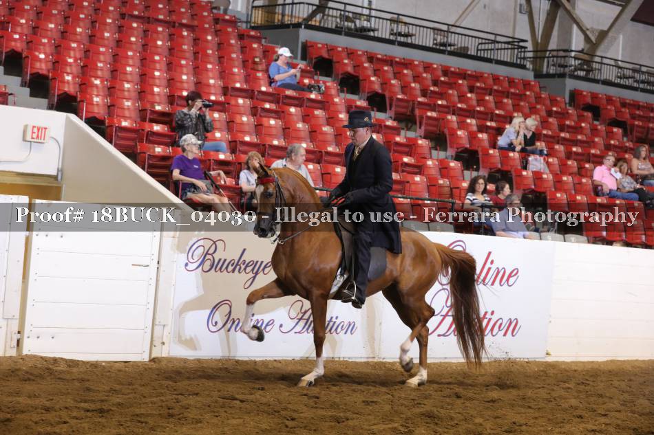 Proof 18BUCK_04030