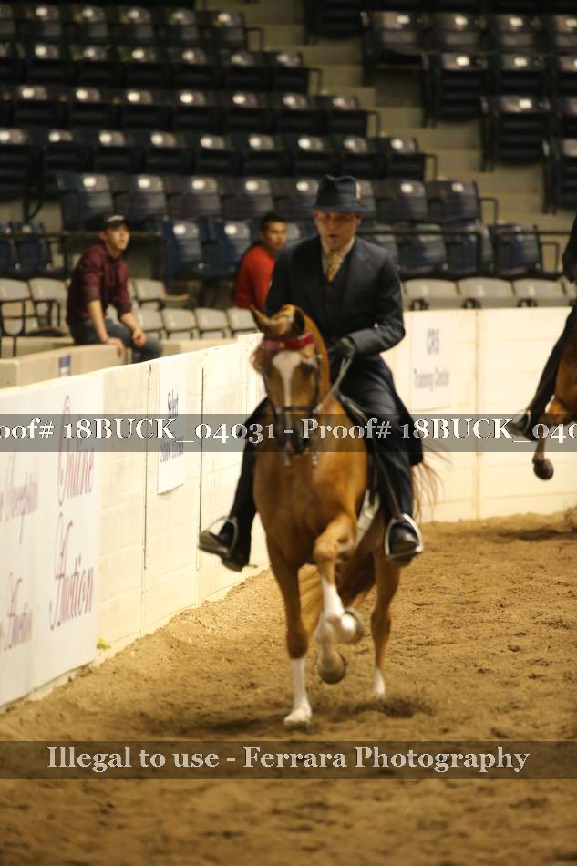 Proof 18BUCK_04031