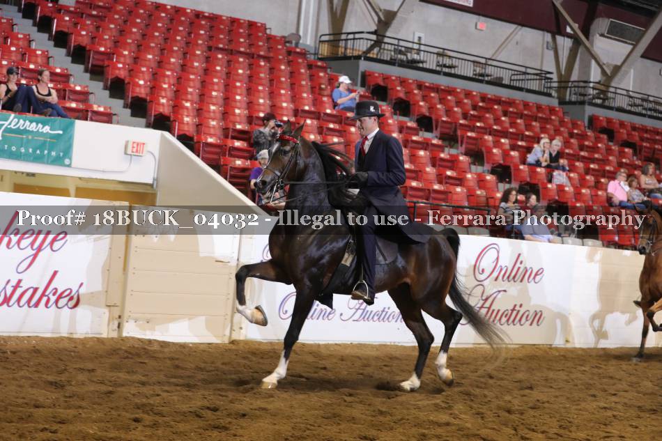 Proof 18BUCK_04032