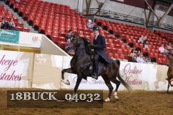 18BUCK_04032 proof