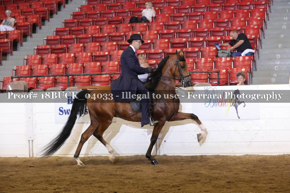 Proof 18BUCK_04033