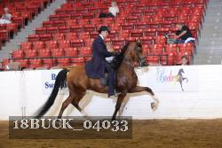 18BUCK_04033 proof