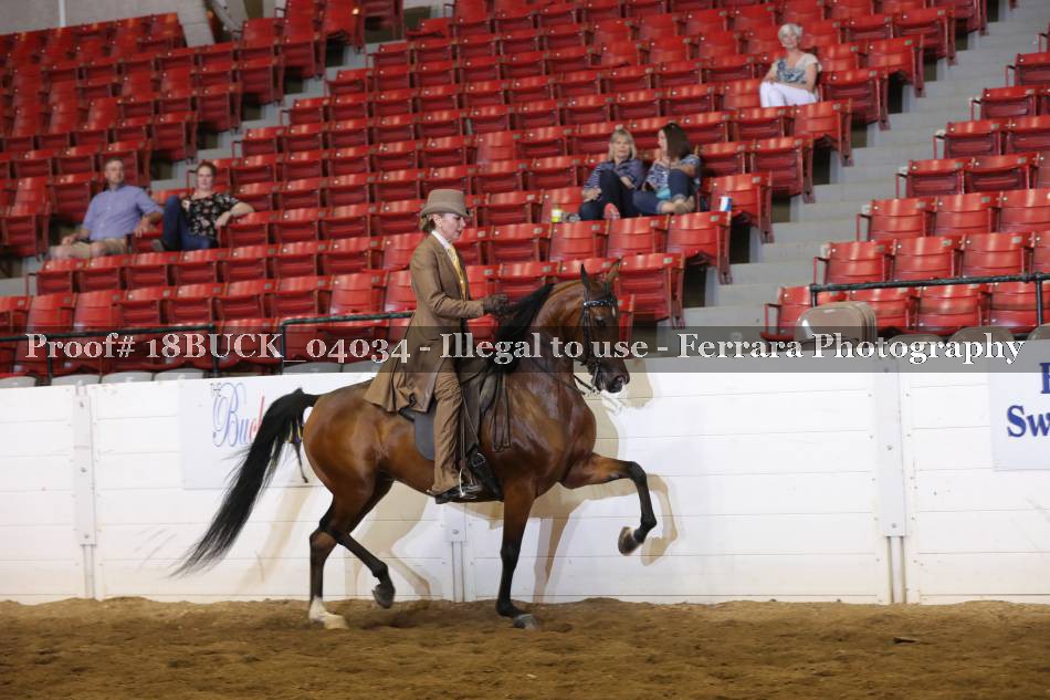 Proof 18BUCK_04034