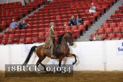 18BUCK_04034 proof