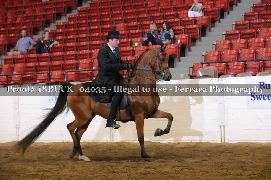 Proof 18BUCK_04035