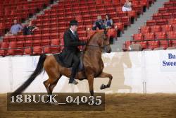 18BUCK_04035 proof